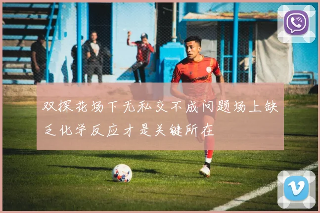 双探花场下无私交不成问题场上缺乏化学反应才是关键所在