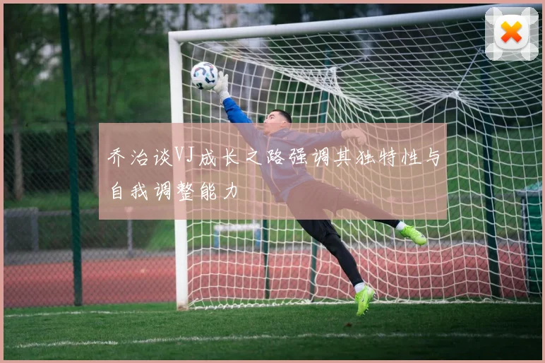 乔治谈VJ成长之路强调其独特性与自我调整能力