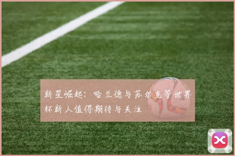 新星崛起：哈兰德与苏尔克等世界杯新人值得期待与关注